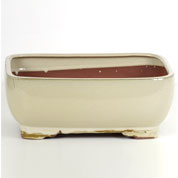 Vaso Cermica Bonsai - Rectangular - 31 x 24 x A12